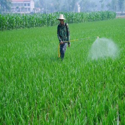 土壤農(nóng)藥污染與微生物修復(fù)技術(shù)